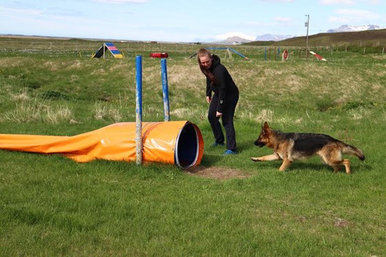 Hildur Palsdottir and  Vonziu's Asynja : Vonziu Elite