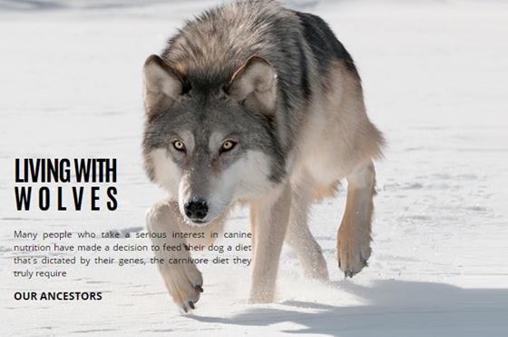 The Best Puppy Food: Vonziu Elite